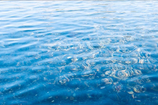 水性塗料使用で環境にやさしい